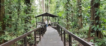 Ciudad Pérdida Ecolodge