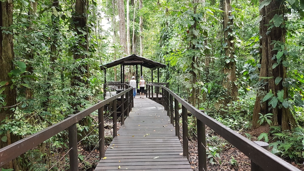 Ciudad Perdida Ecolodge by null