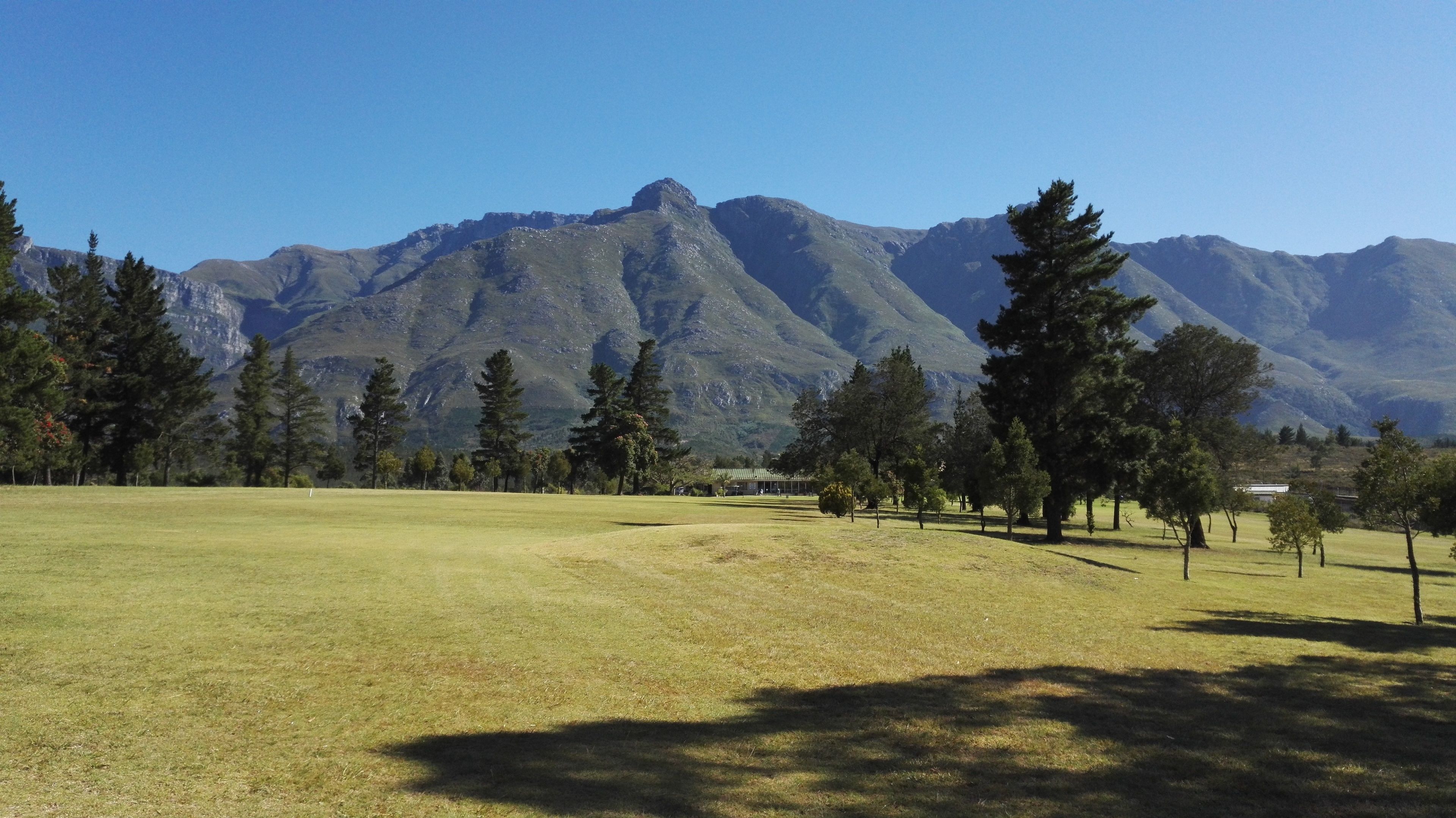 A grassy field with a mountain range in the background.