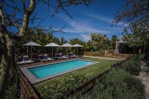 Una piscina rectangular con borde de azulejos, rodeada por una terraza de madera y una zona verde. Hay sillas de descanso y sombrillas a lo largo de la piscina.