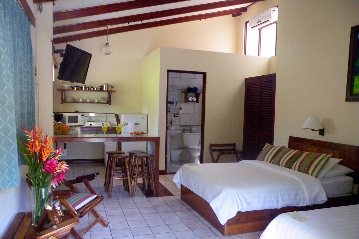 Studio | Premium bedding, in-room safe, iron/ironing board, free cots/infant beds