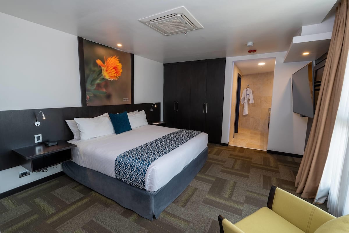 Una habitación de hotel con una cama grande, una mesita de noche con lámpara, un televisor montado en la pared y una zona de ducha visible a través de una puerta abierta.