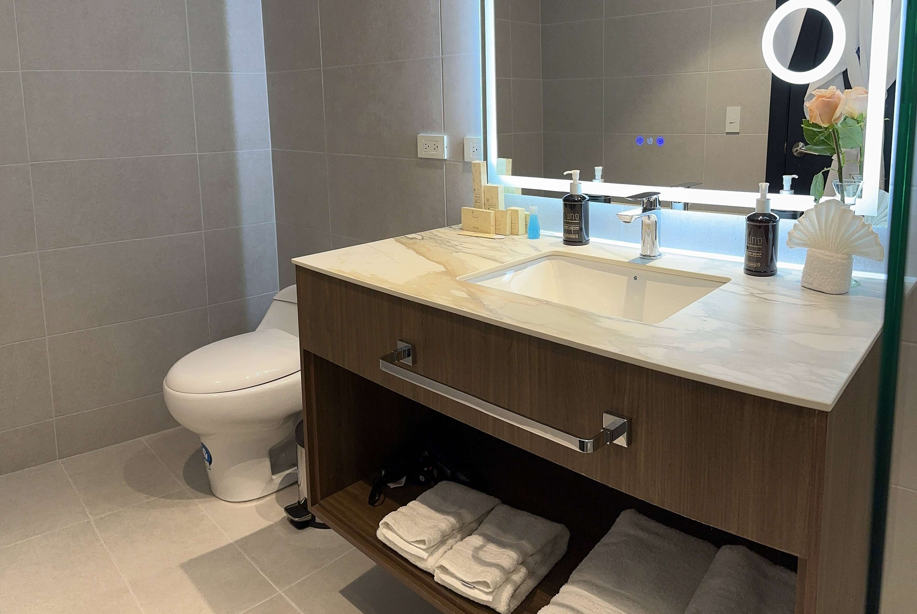 deluxe room, 1 queen bed, non smoking | bathroom | eco-friendly toiletries, hair dryer, towels, soap