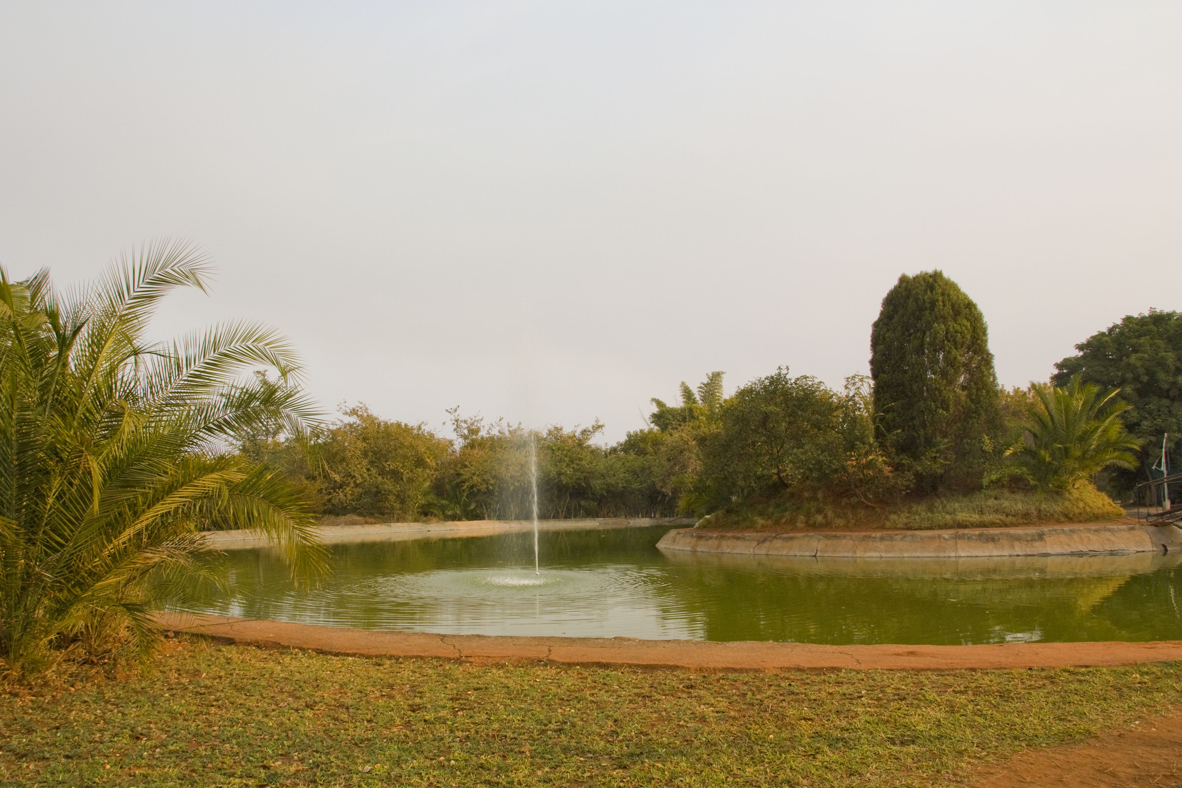 A tranquil pond with a central fountain, surrounded by lush greenery and palm trees.