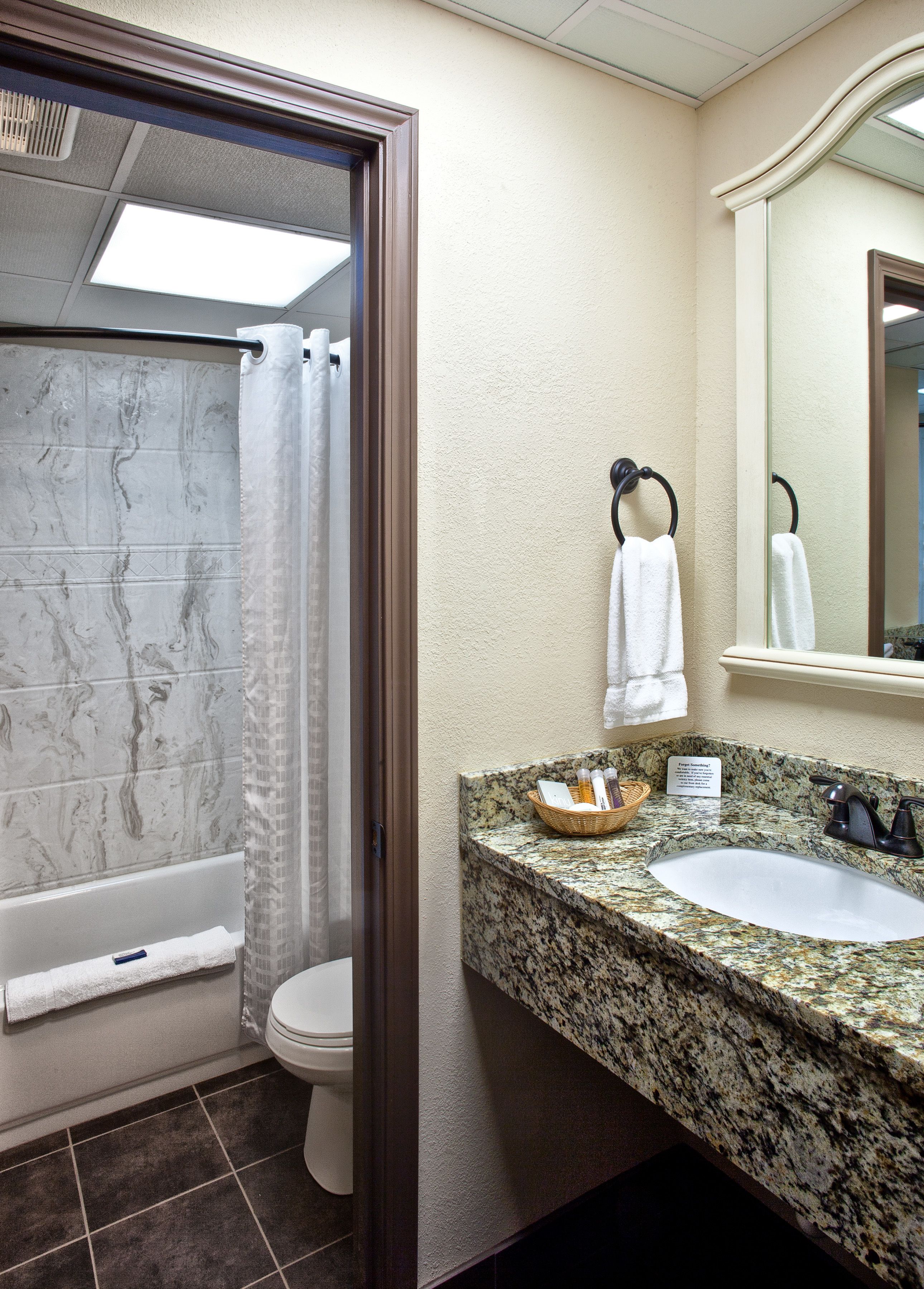 combined shower/bathtub, free toiletries, hair dryer, towels