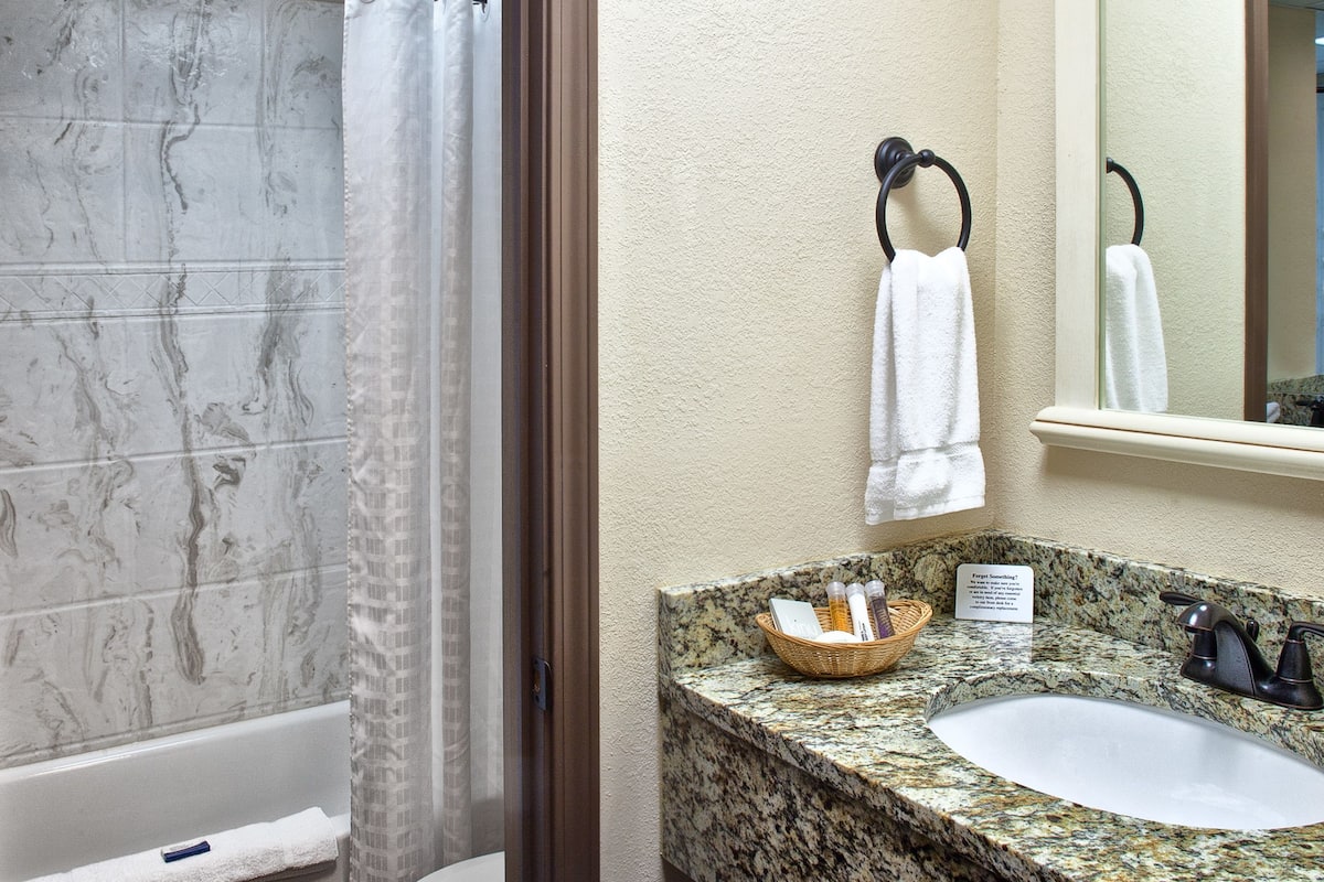 combined shower/bathtub, free toiletries, hair dryer, towels