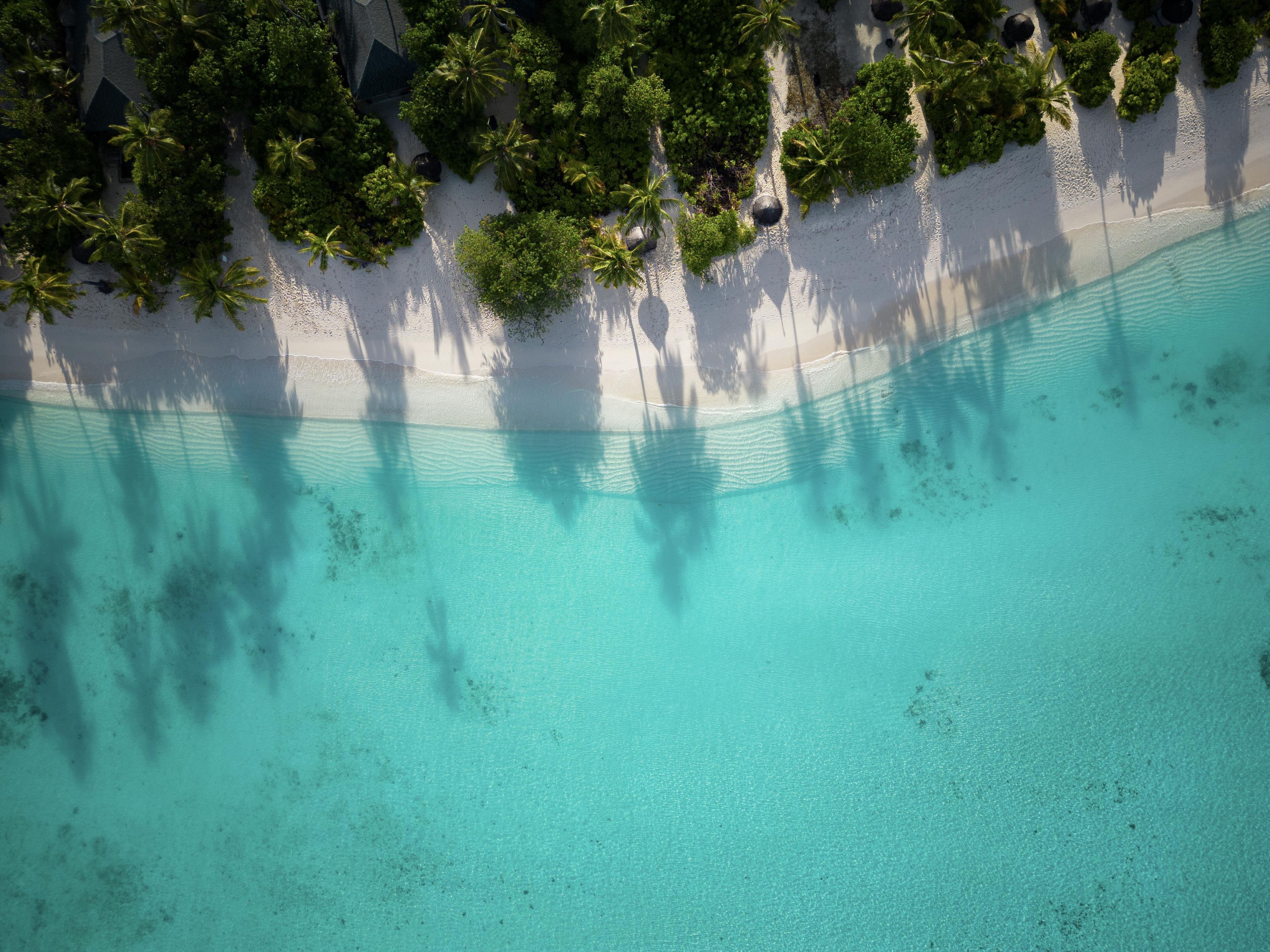 Eine Vogelperspektive zeigt einen Strand mit klarem türkisblauem Wasser, weißem Sand und dichter grüner Vegetation.