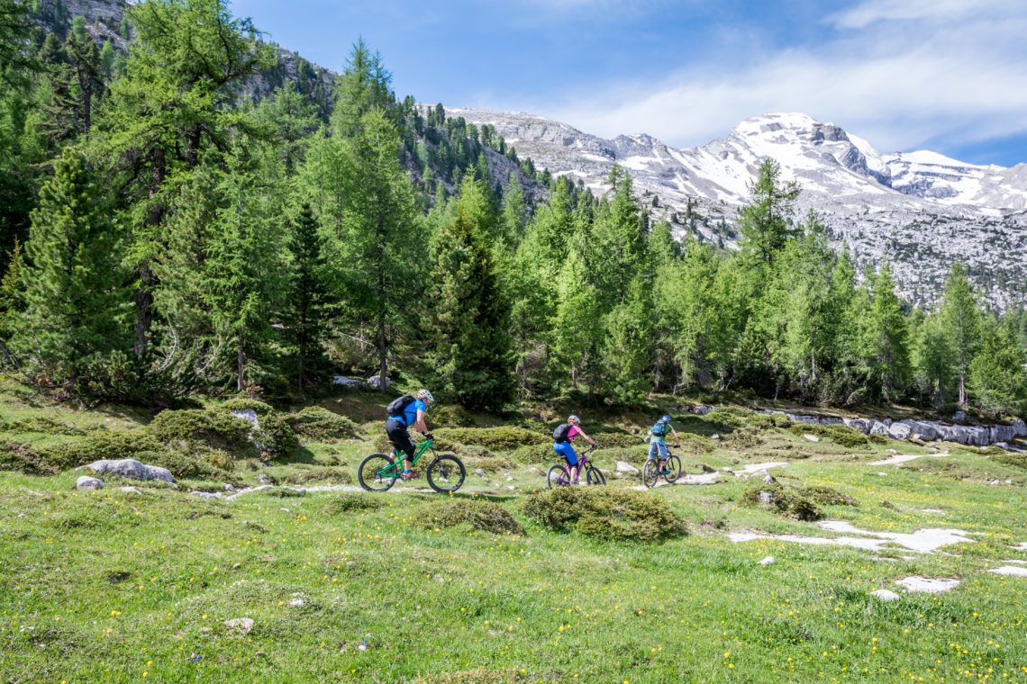 A mountain biking trail with cyclists, surrounded by dense forest and snow-capped mountains.