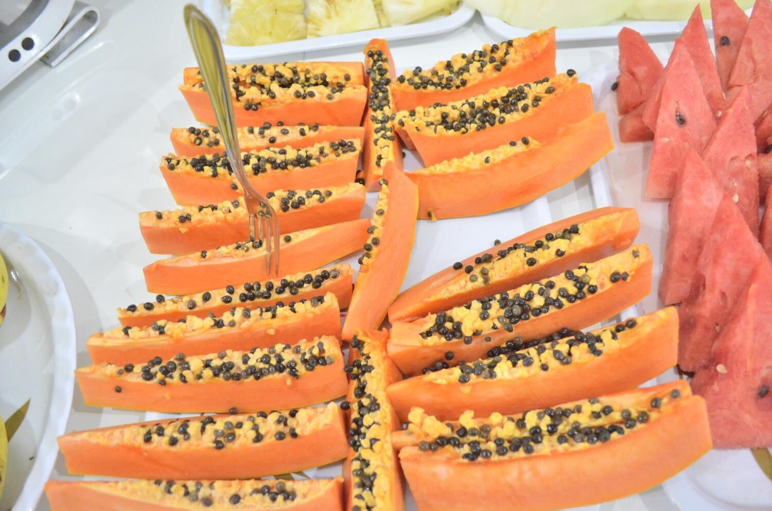 Ein Teller mit Scheiben von Papaya, belegt mit schwarzen Samen, dazu Wassermelonenscheiben.