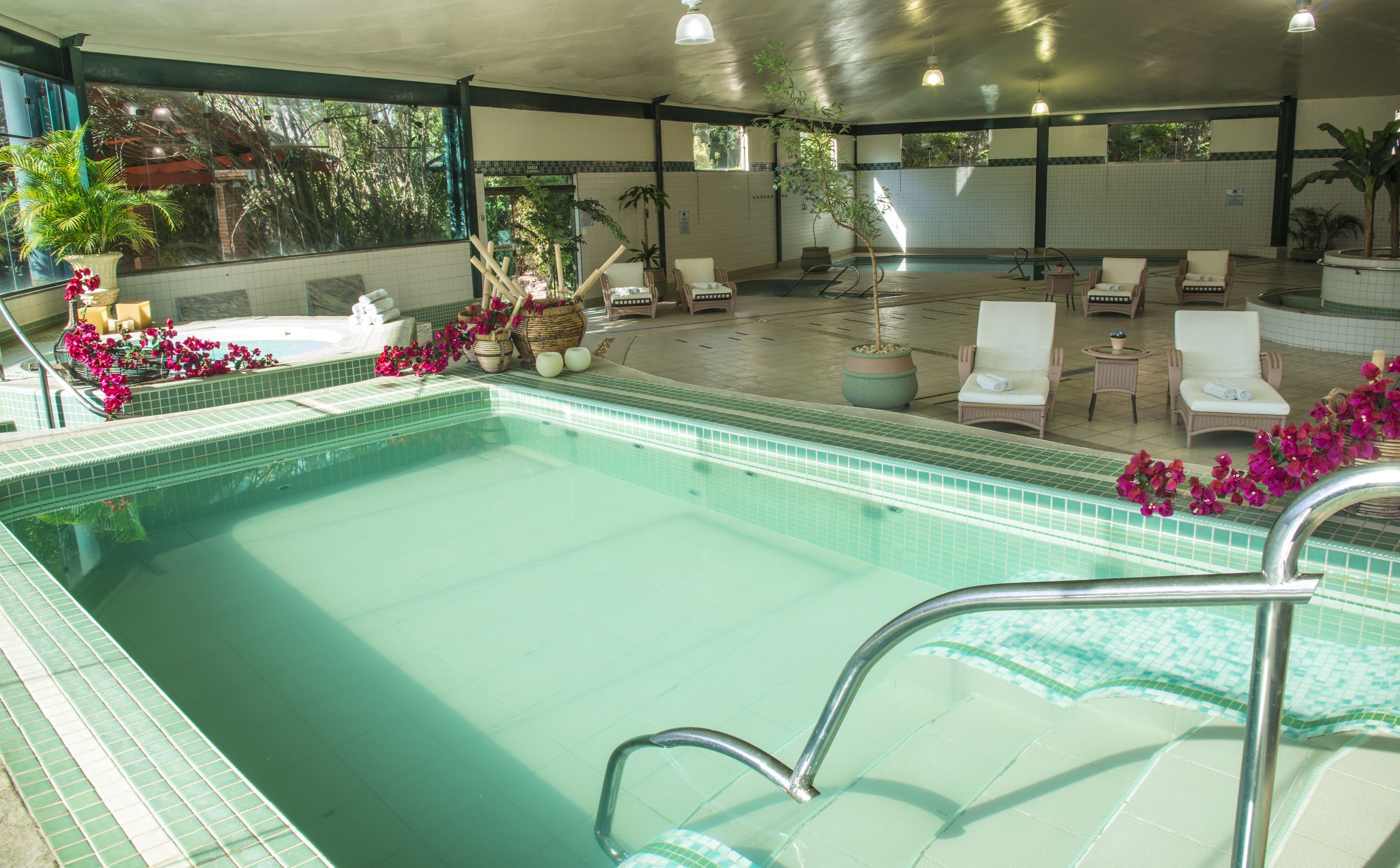 Un espace piscine avec une eau claire, des chaises longues et des plantes en pot.