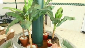 Piscina interior rodona amb pedres, envoltada de cadires i plantes en testos.