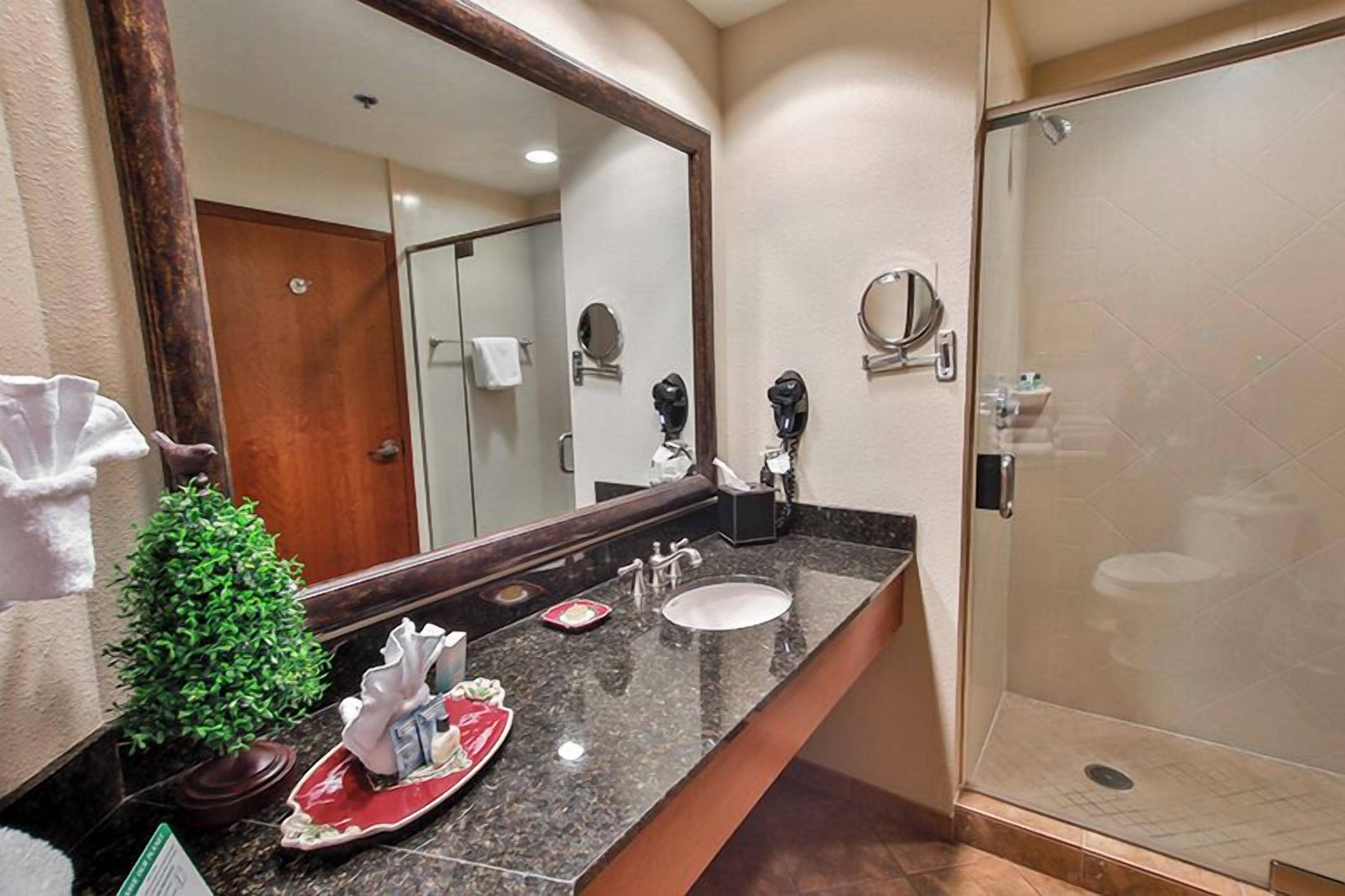 combined shower/bathtub, hair dryer, towels