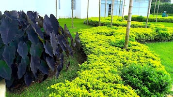 Jardín