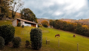 Deluxe Cottage, 2 Bedrooms | Desk, blackout drapes, soundproofing, free WiFi
