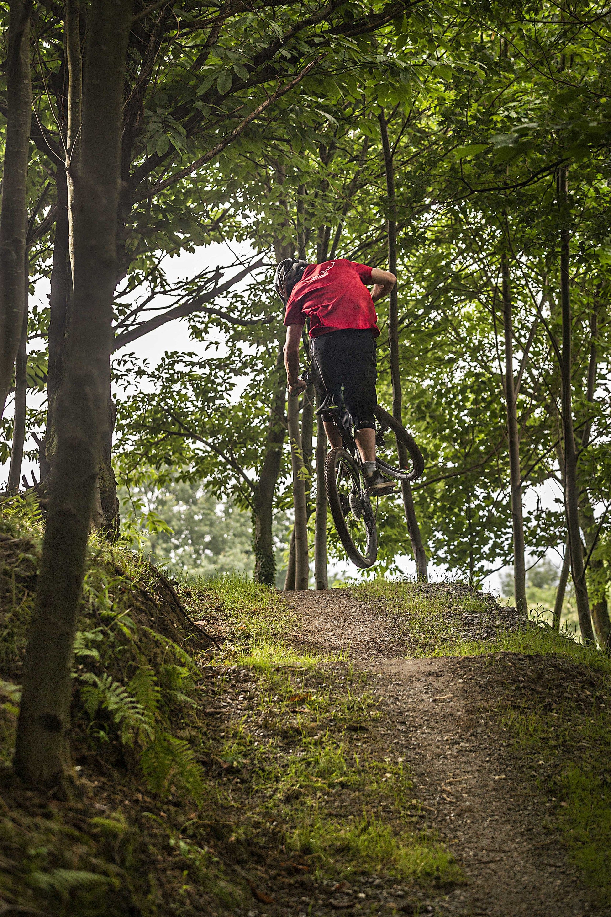 A person performing a bike stunt in a forested area.