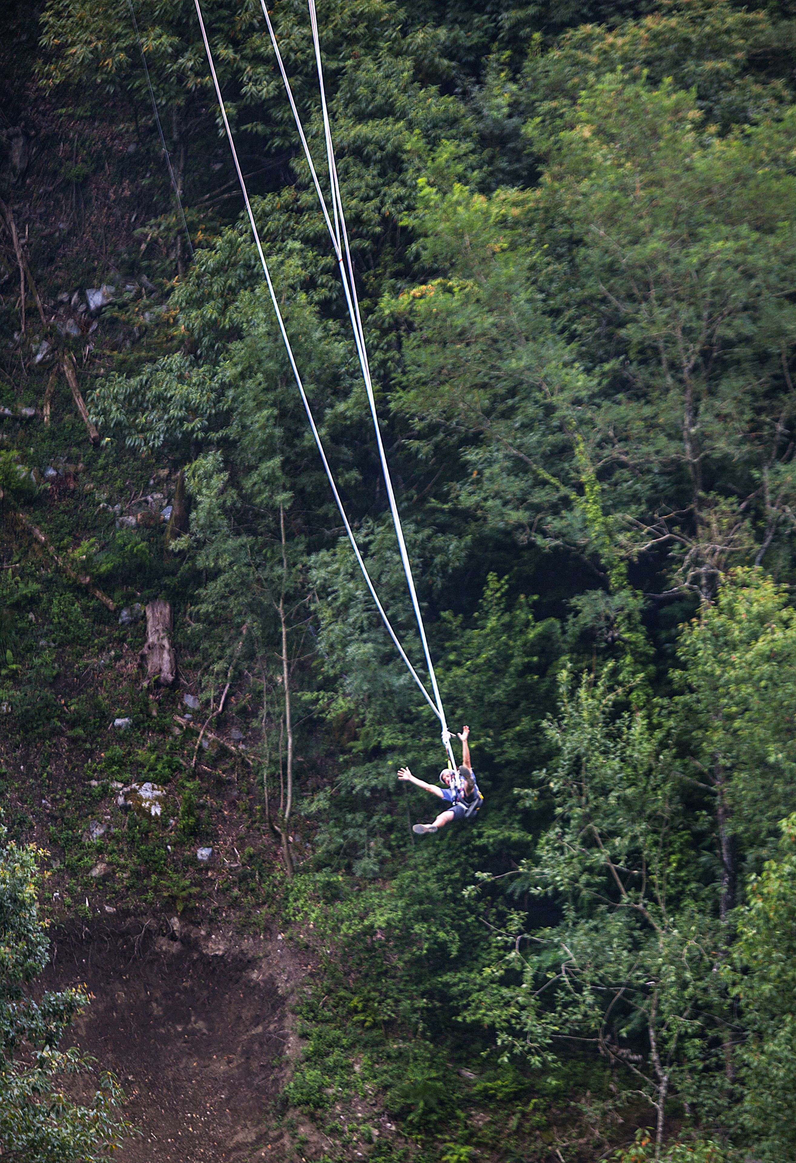 A person bungee jumping from a cliff surrounded by dense forest.