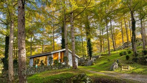 A rustic cabin with a stone wall and wooden door, surrounded by tall trees and a stone pathway.
