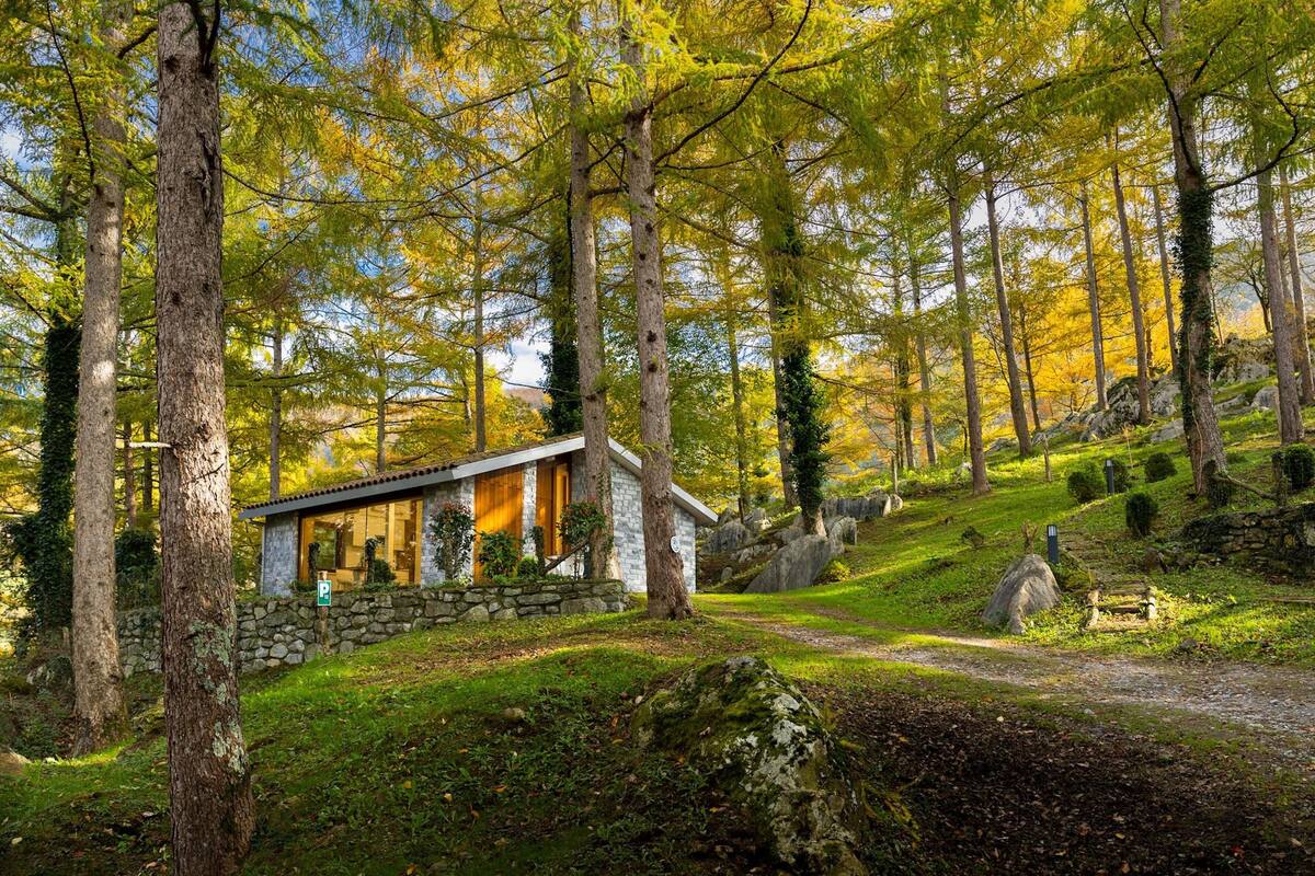 Un chalet rustique avec un mur en pierre et une porte en bois, entouré de grands arbres et bordé d’un sentier en pierre.