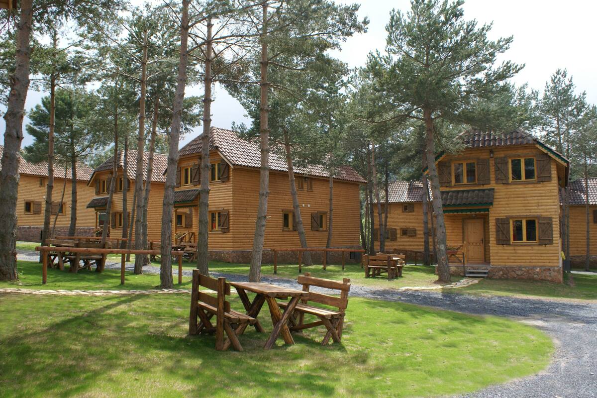 A row of wooden cabins with a gravel path leading to them, surrounded by trees.