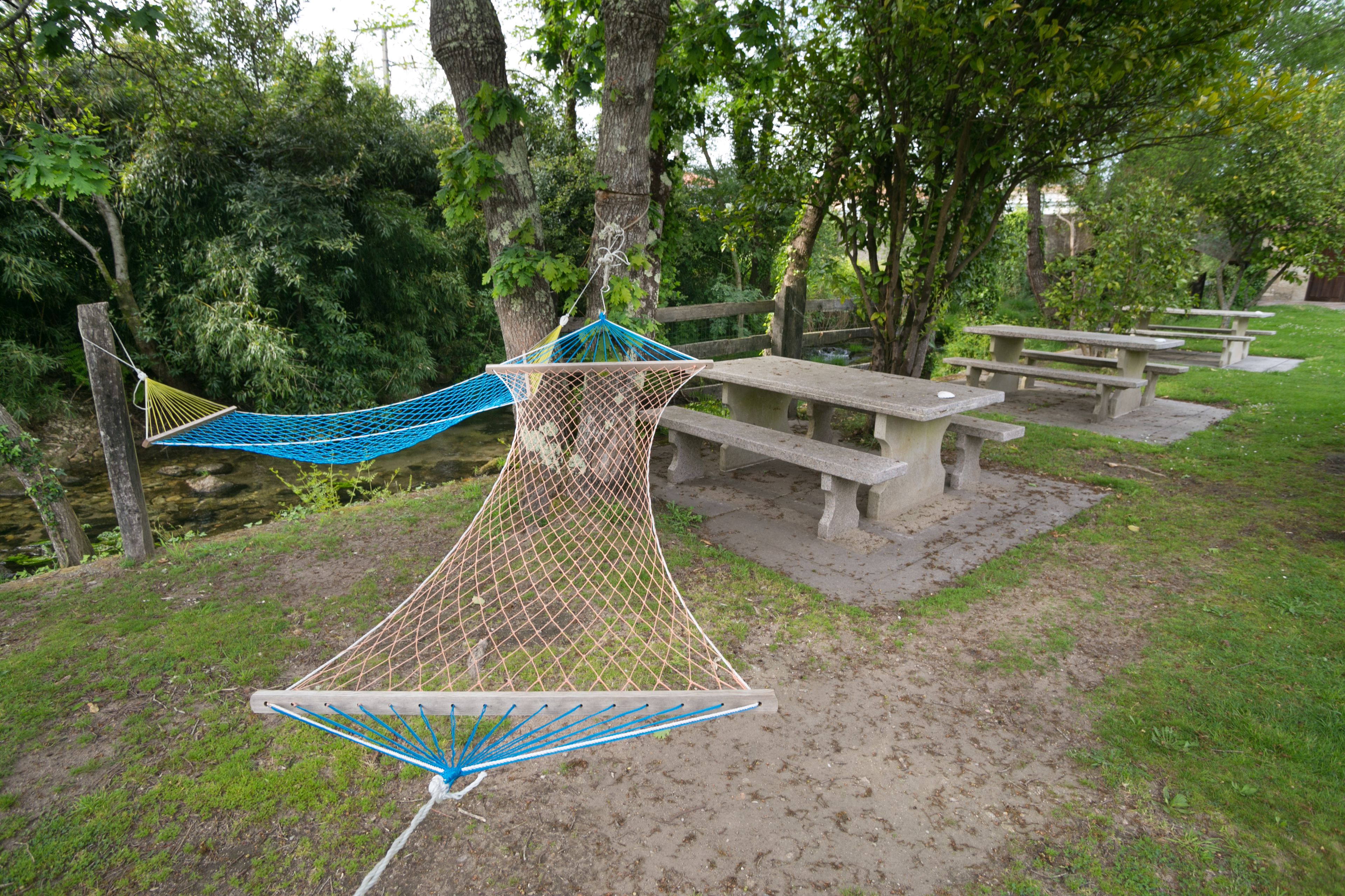 Un hamac tendu entre deux arbres dans un parc, avec des tables de pique-nique à proximité.