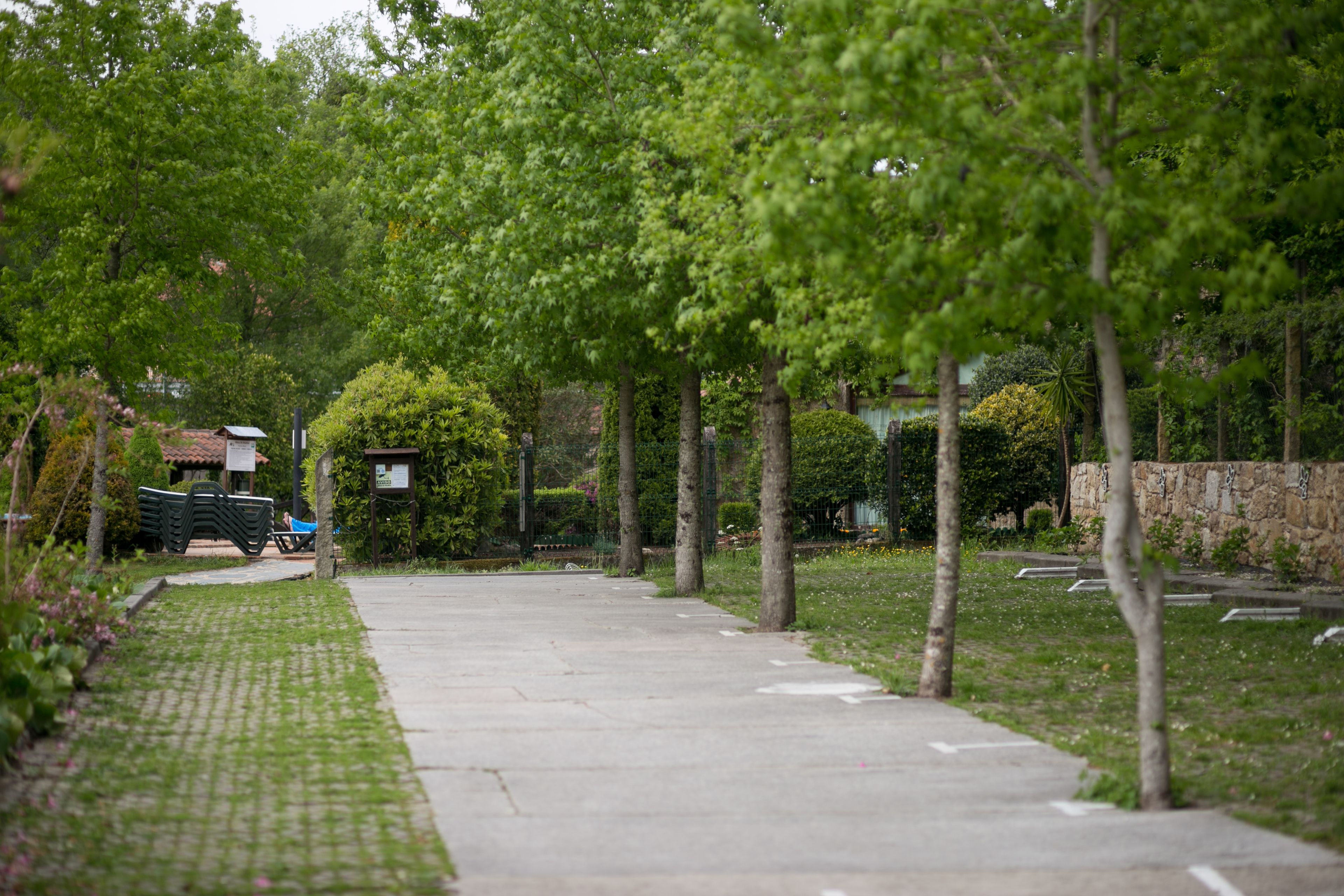Un sendero pavimentado bordeado por árboles y vegetación, que conduce a un edificio con un letrero.