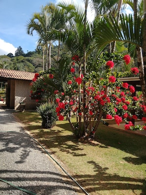 Entrada (vista interna)