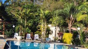 Piscina com espreguiçadeiras e vegetação tropical.