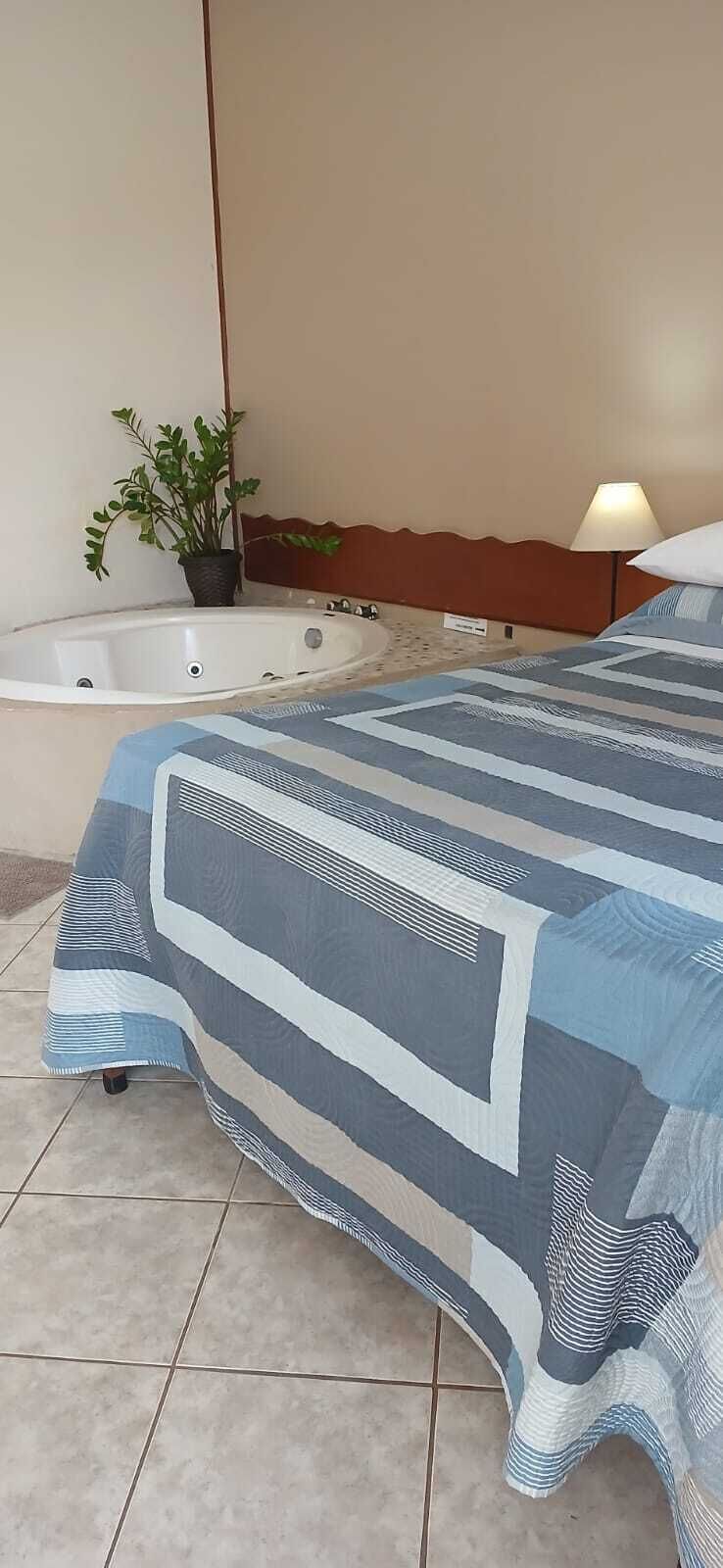 Una habitación de hotel con cama, bañera y una planta en maceta.