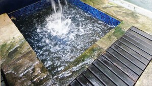 A water feature with a waterfall, a brick wall, and a window reflecting plants. - Silom convent garden (Bangkok)