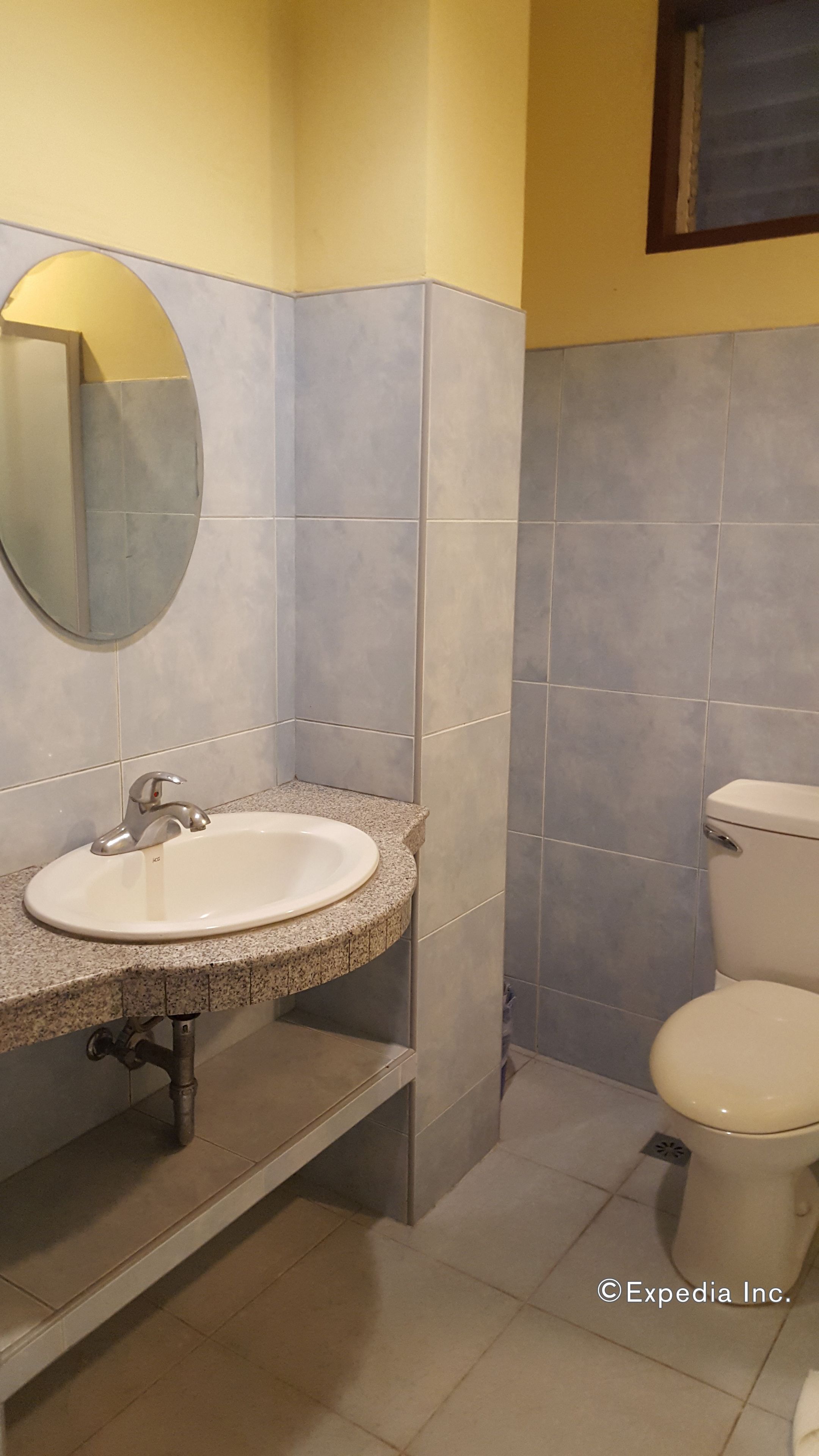 A bathroom with a sink, mirror, and toilet.