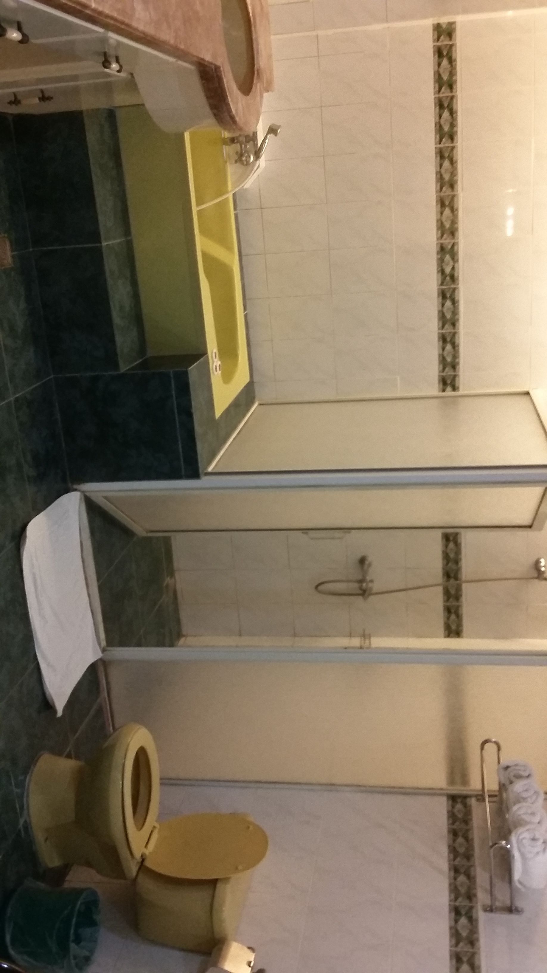 Un baño con inodoro, bidé y ducha.