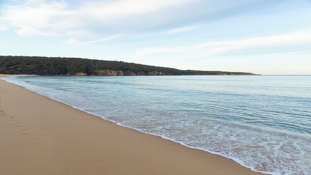 A beach with a sandy shore and gentle waves. - Reflections Eden - Holiday Park (Eden)