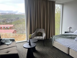 Desk, iron/ironing board, free cribs/infant beds, free WiFi