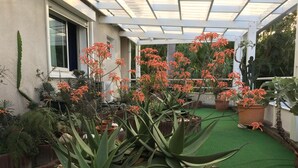 Un jardin avec différentes espèces de plantes et une zone recouverte de gazon synthétique.