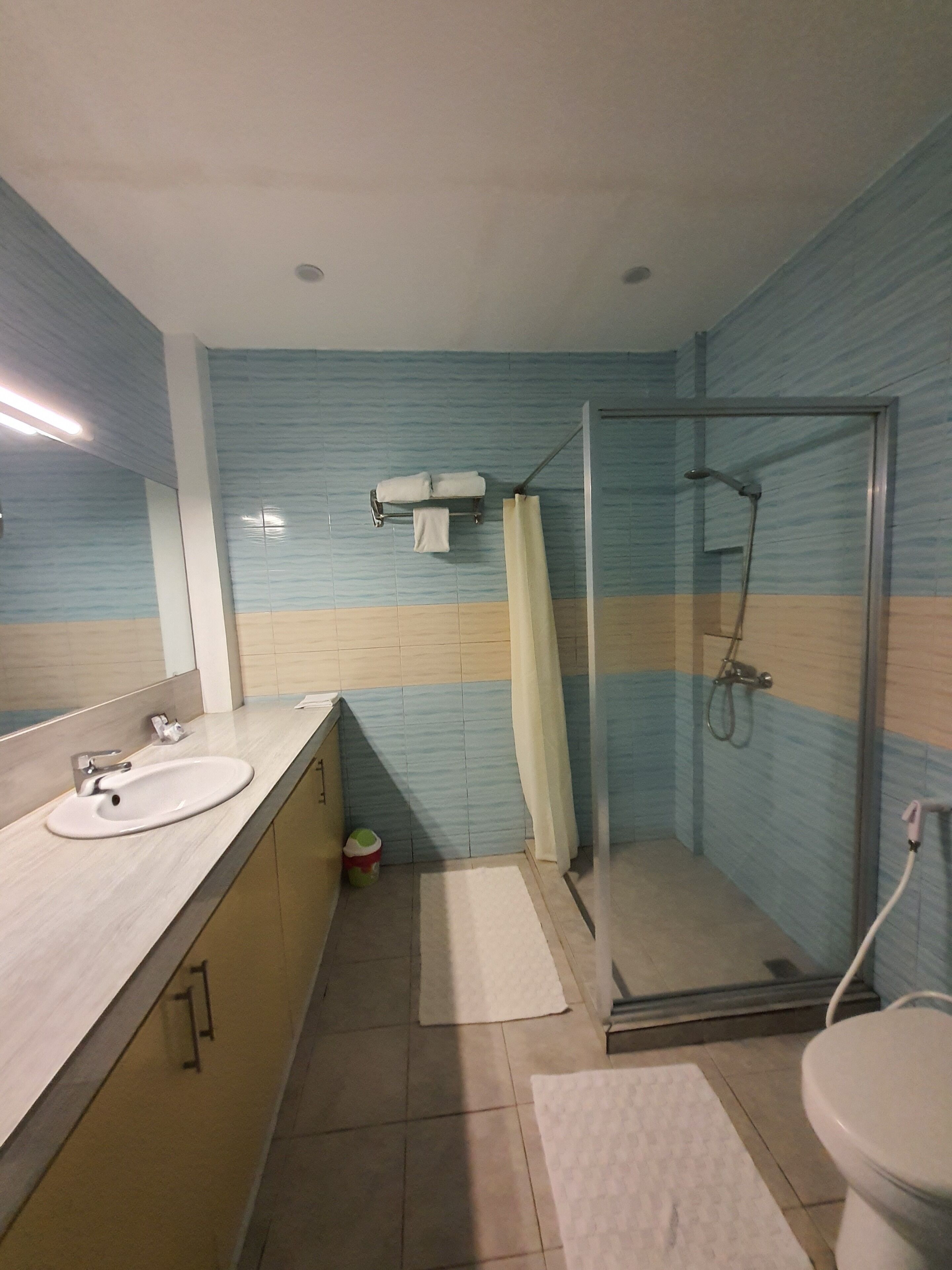 oceana | bathroom | shower, hair dryer, bidet, towels