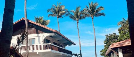 A resort with a pool, palm trees, and a view of the ocean.