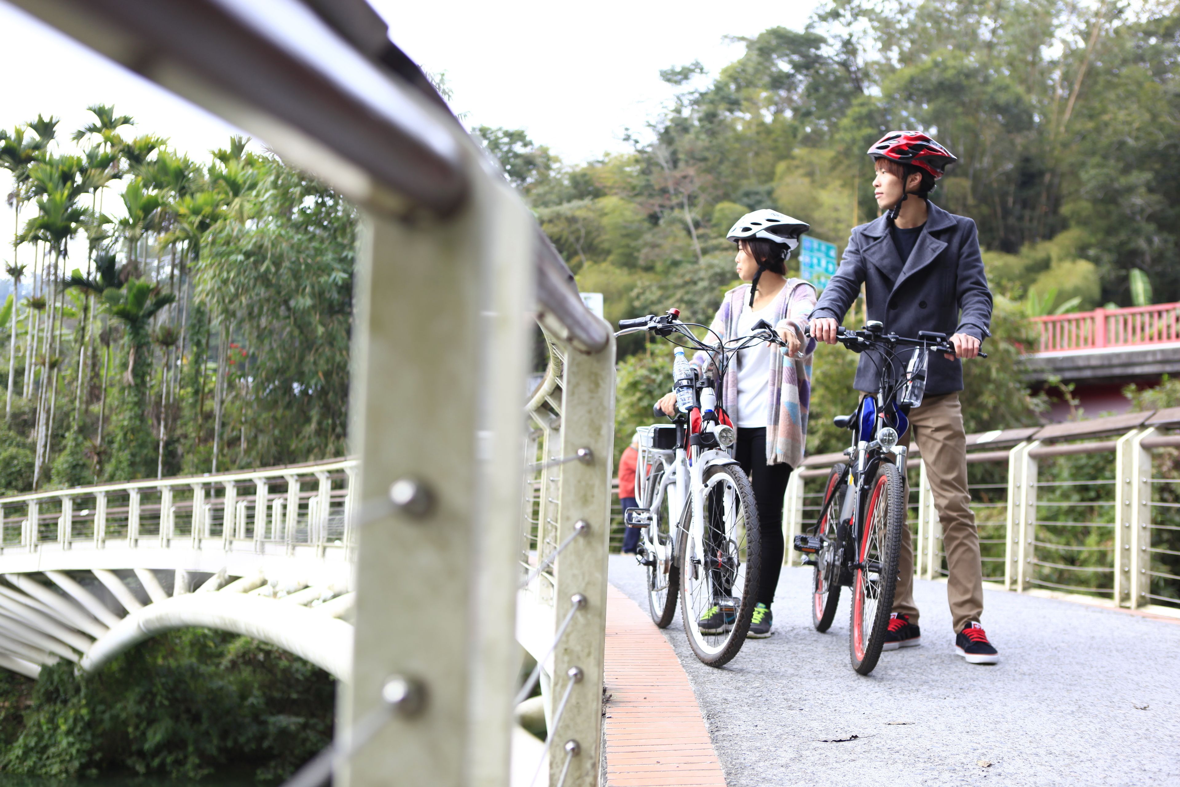 自転車