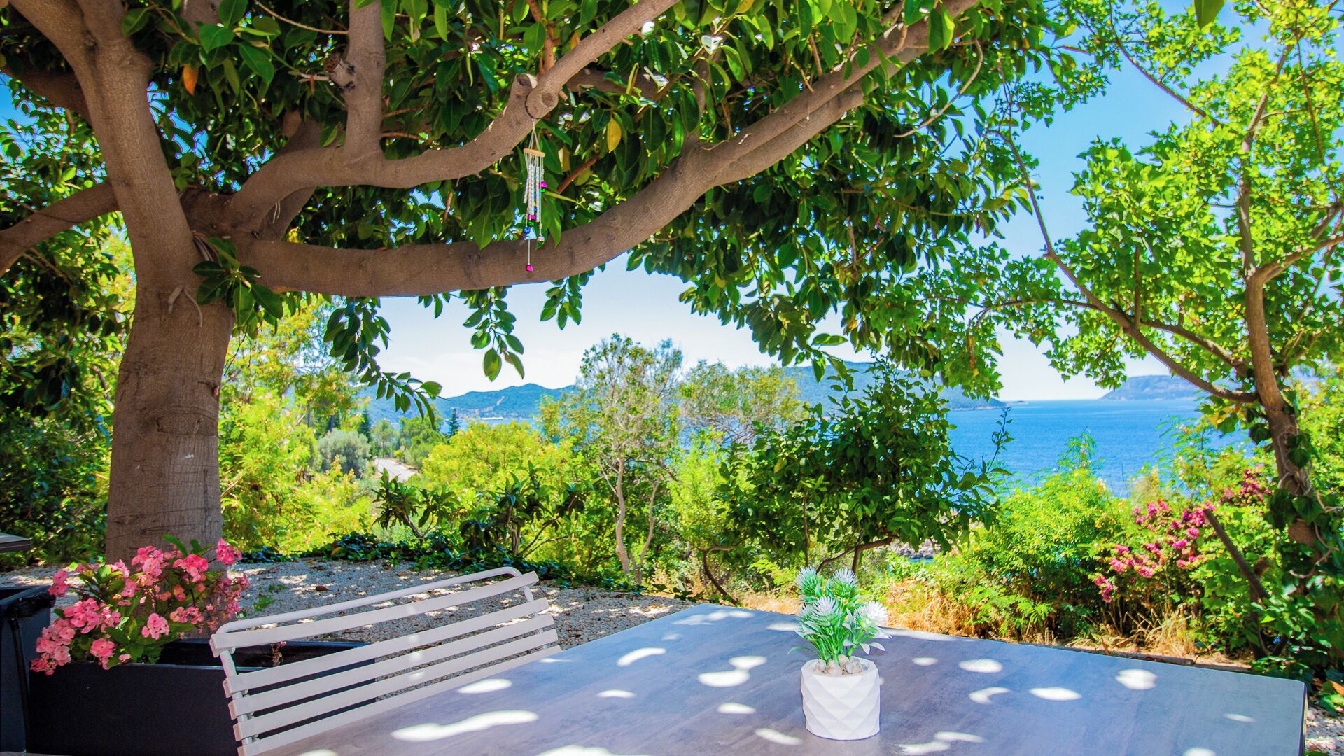 Un banco bajo un árbol con vistas a un paisaje costero y el mar, con colinas a lo lejos.