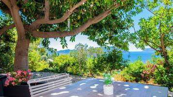 Un banco bajo un árbol con vistas a un paisaje costero y el mar, con colinas a lo lejos.