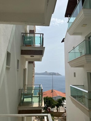 Vista desde la propiedad