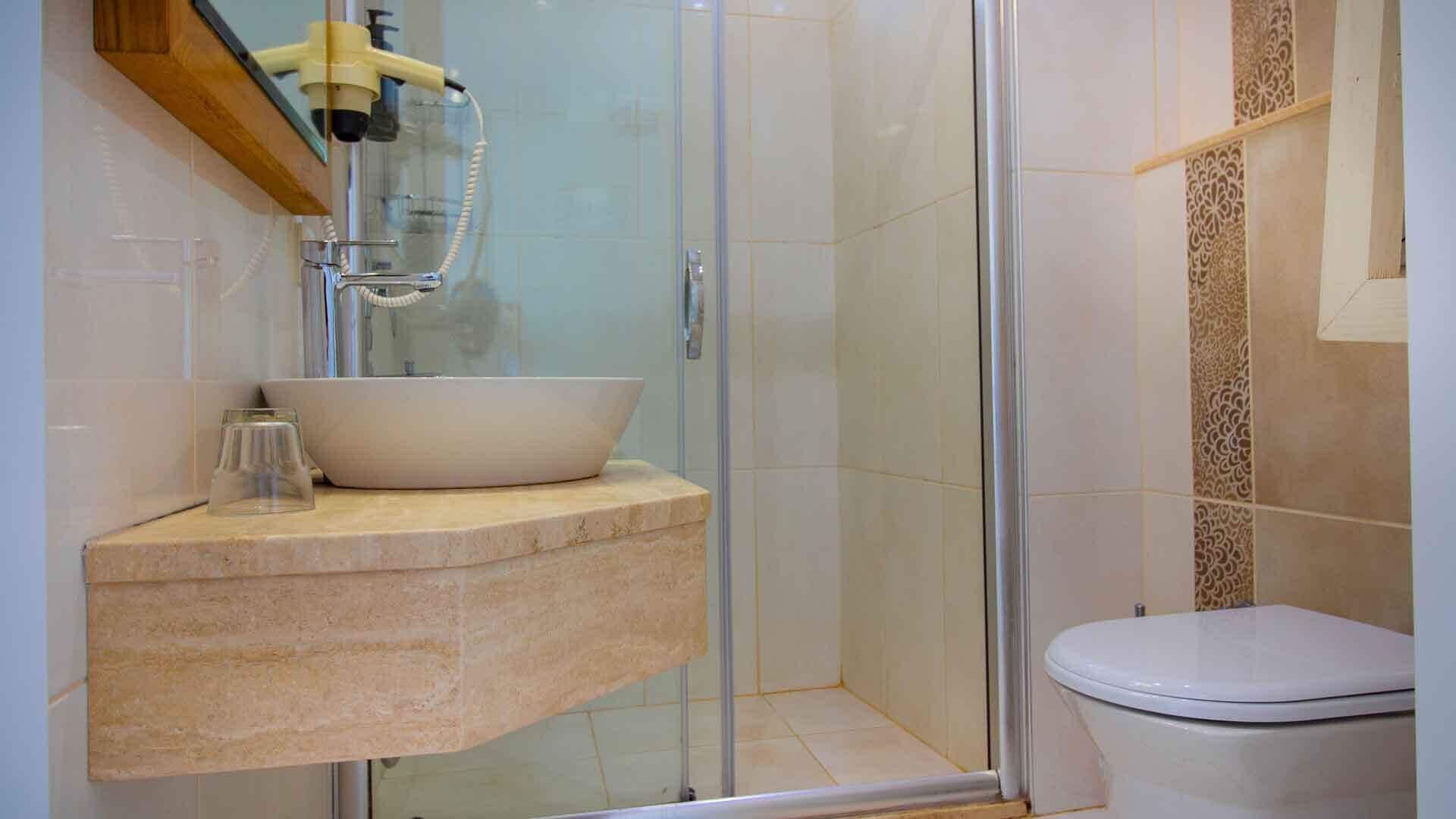 Une salle de bain avec une douche à parois de verre, un lavabo blanc en forme de cuvette et des toilettes.