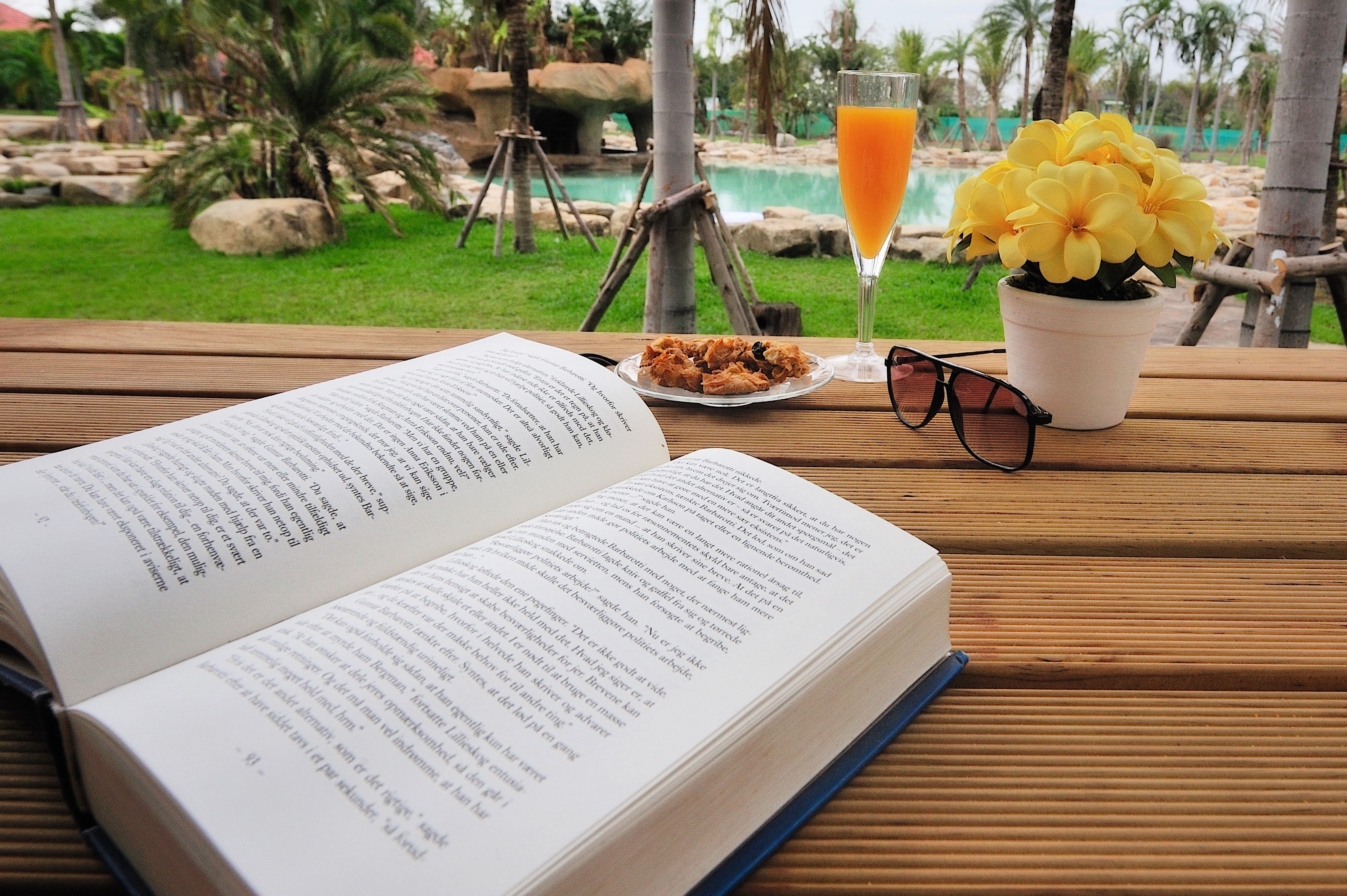 Un livre ouvert sur une table en bois, à côté d’un verre de jus d’orange, d’une assiette de biscuits et d’une plante en pot avec une fleur jaune.
