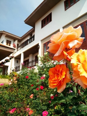 A building with multiple balconies and a garden with various flowers.