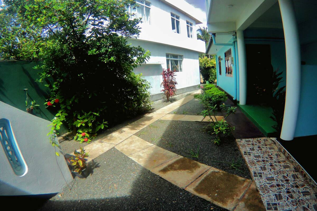 A courtyard with a tiled walkway, a white building with multiple windows, and green plants.
