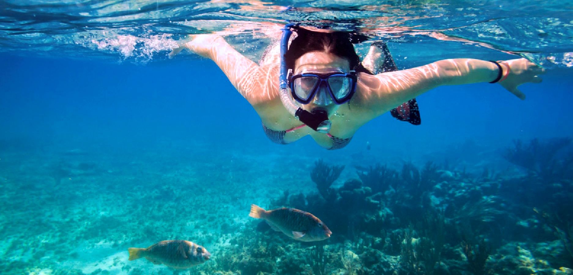 Uma pessoa praticando snorkel debaixo d'água, com visão clara do fundo do mar e vida marinha.