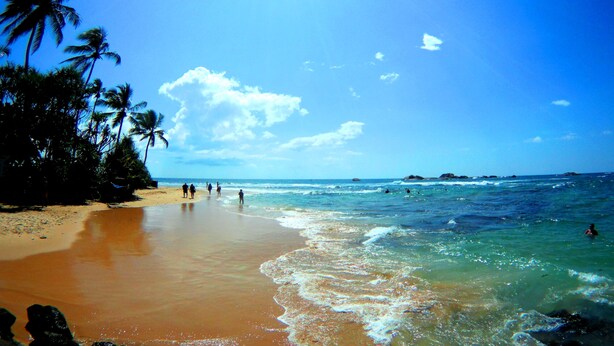 A beach with palm trees, clear blue sky, and ocean waves. - Tamara Motels (Hikkaduwa)