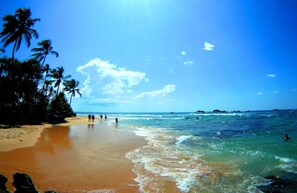 Una playa con palmeras, cielo azul despejado y olas del océano.