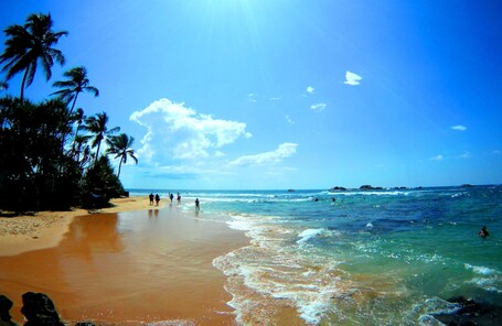 Playa