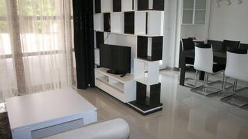 100-cm flat-screen TV with satellite channels, TV