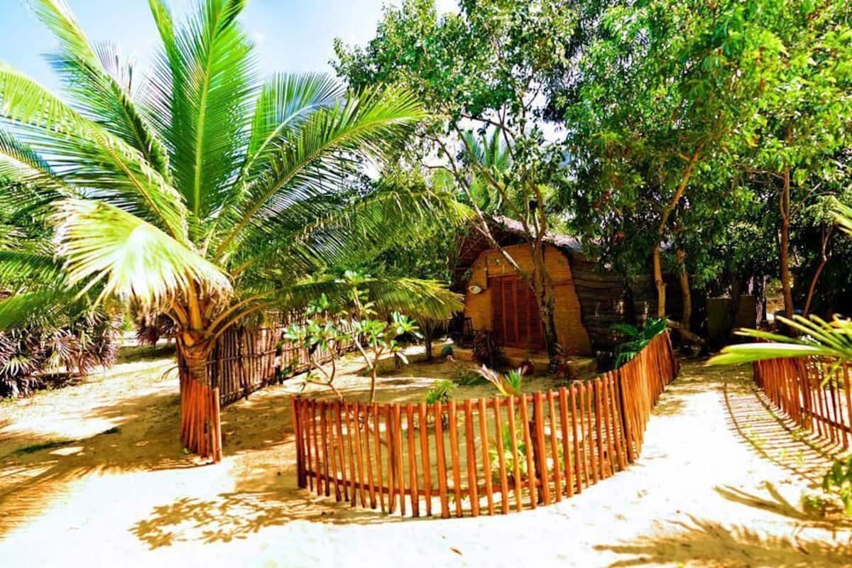 A rustic wooden hut surrounded by lush greenery and a wooden fence.